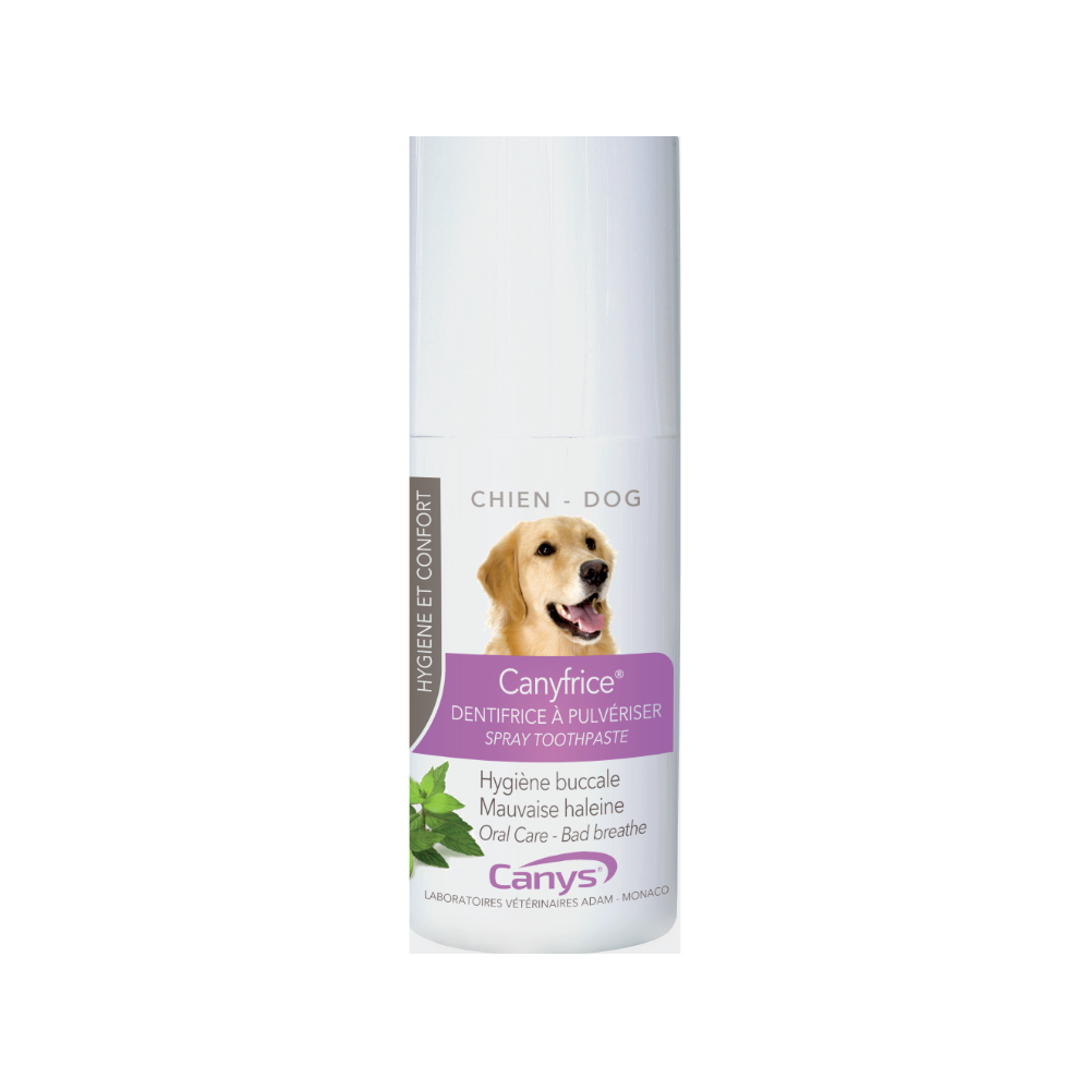 chlorhexidine toothpaste for dogs